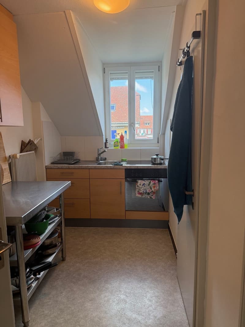 Affascinante appartamento di 3 locali a Berna (8)