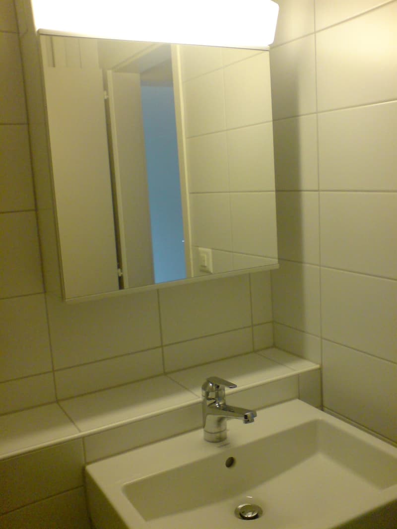 3-Zimmer-Wohnung in der Länggasse (7)