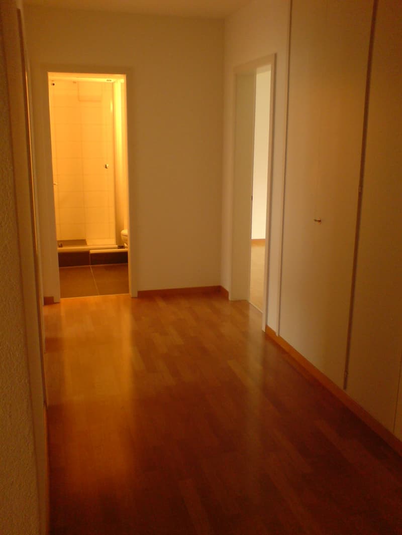 3-Zimmer-Wohnung in der Länggasse (9)