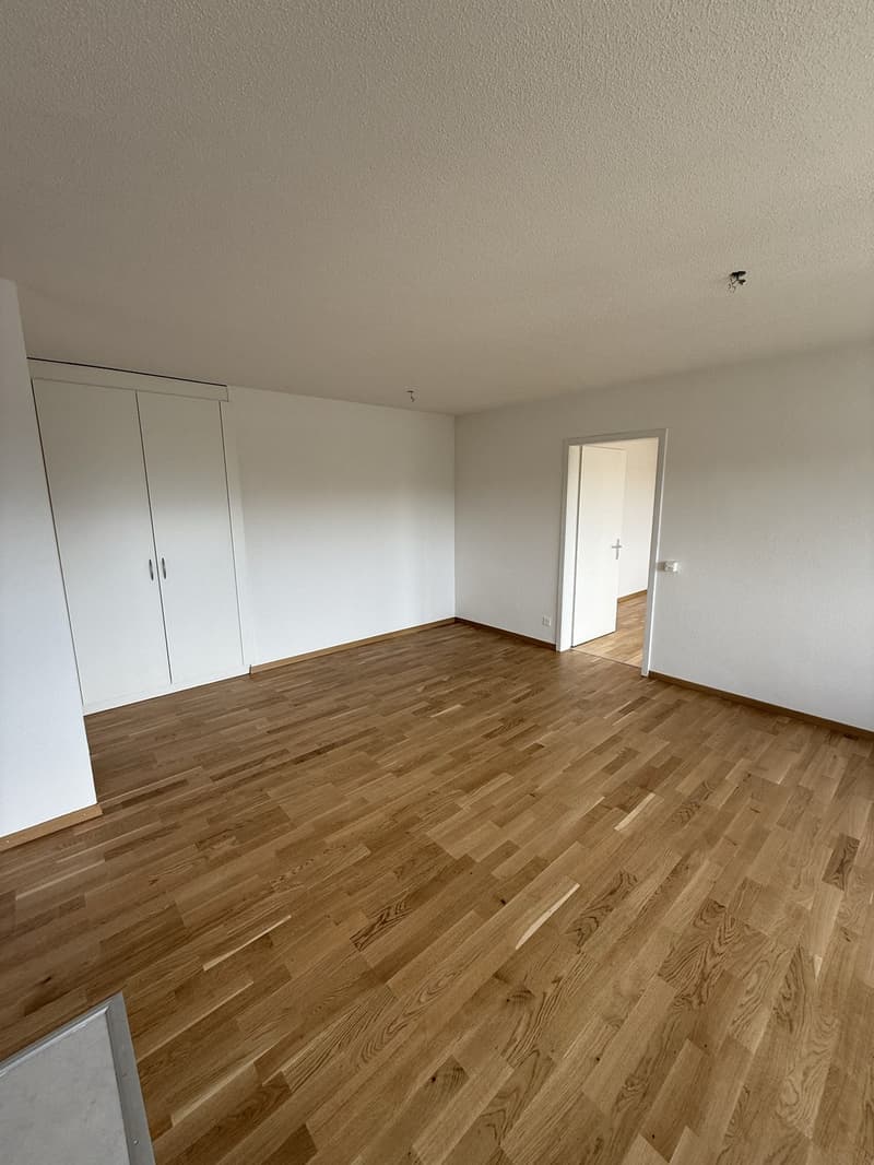 Grosszügige 3-Zimmerwohnung mit traumhafter Aussicht über Bern (3)