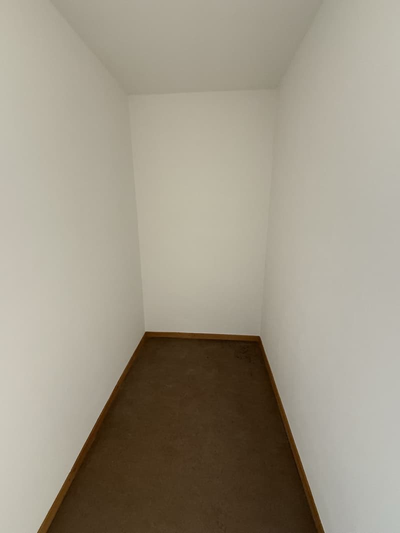 Grosszügige 3-Zimmerwohnung mit traumhafter Aussicht über Bern (8)