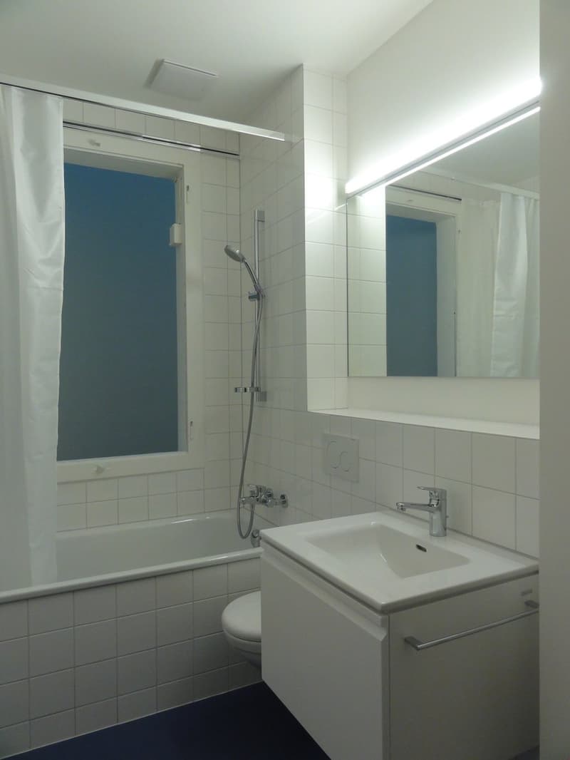 Grosse 3-Zimmerwohnung ***Altbau*** (2)