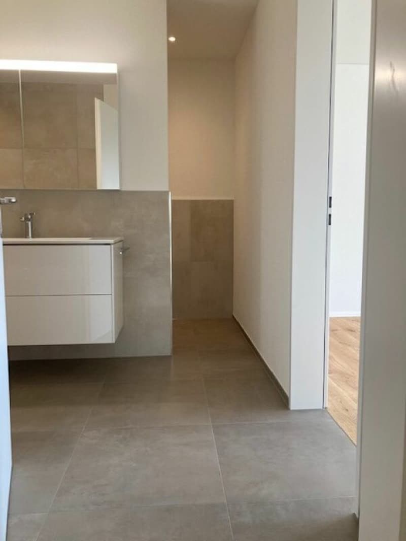 Zu verkaufen 3.5 Zimmer-Eigentumswohnungen 132m2 mit Mietverhältnis (9)