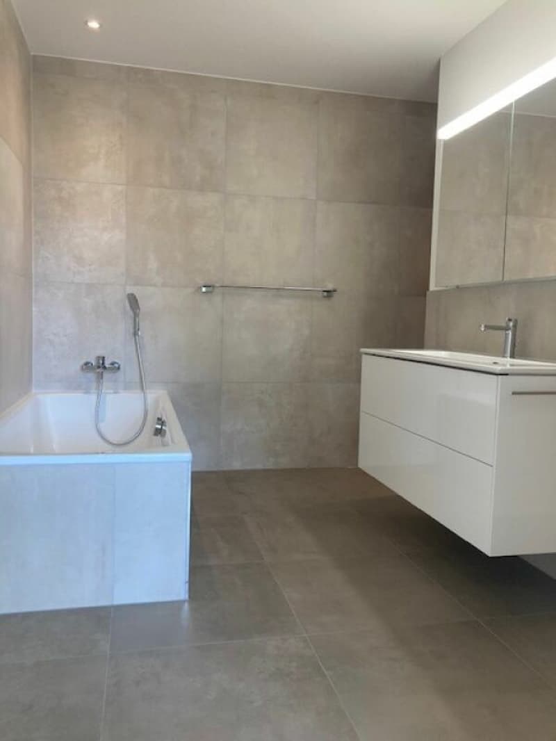 Zu verkaufen 3.5 Zimmer-Eigentumswohnungen 132m2 mit Mietverhältnis (10)