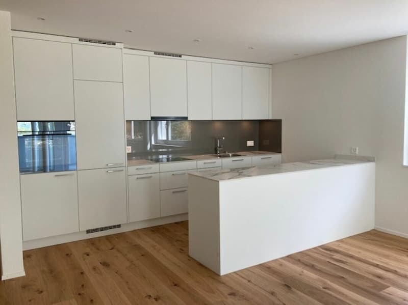Helle,grosszügige 3.5 Zimmer-Eigentumswohnung mit Mietverhältnis (2)