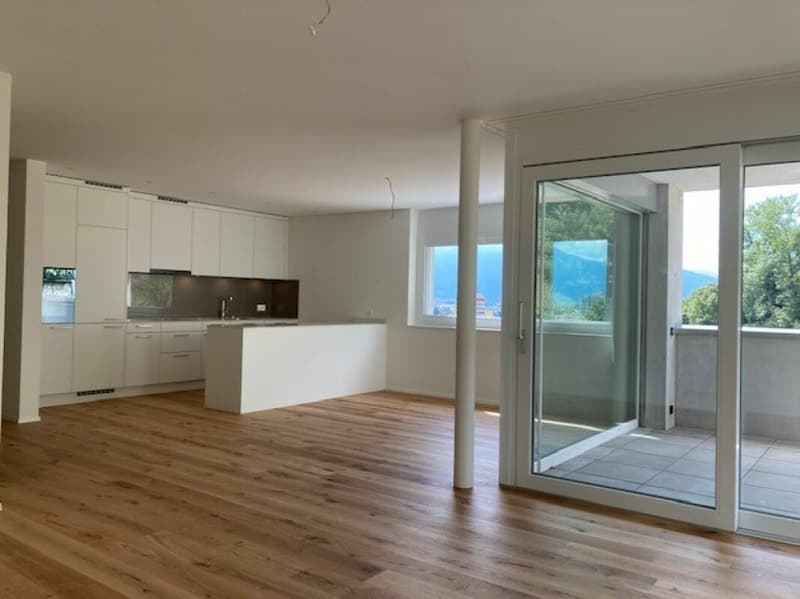 Helle,grosszügige 3.5 Zimmer-Eigentumswohnung mit Mietverhältnis (1)