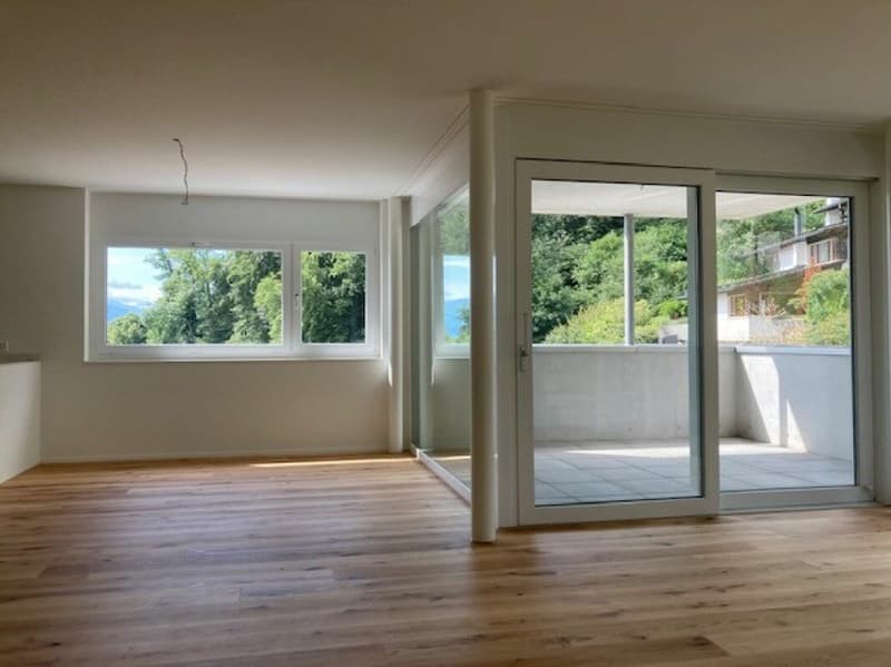 Helle,grosszügige 3.5 Zimmer-Eigentumswohnung mit Mietverhältnis (4)