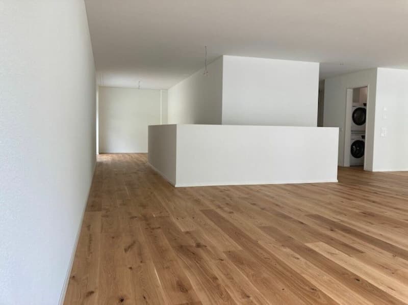 Grosszügige, helle 4.5 Zimmer-Eigentumswohnung Maisonette mit Mietverhältnis (9)