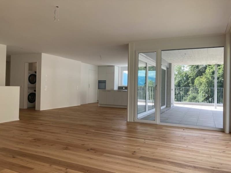 Appartement maisonnette spacieux et lumineux 4.5 pièces avec contrat de location (10)