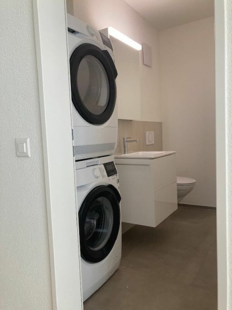 Grosszügige, helle 4.5 Zimmer-Eigentumswohnung Maisonette mit Mietverhältnis (8)