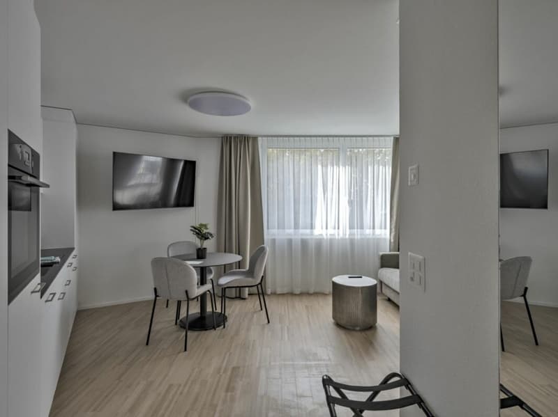Appartamento SUPERIOR arredato - 52 m2 (5)
