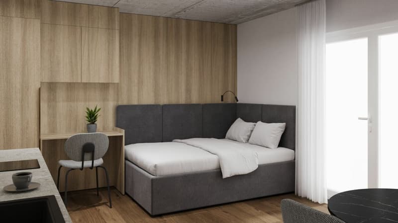 Fully furnished BASIC apartment - 25 m2 (2)