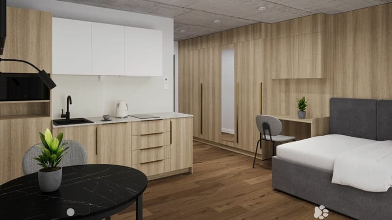 Vollmöbliertes BASIC Apartment - 25 m2 (3)