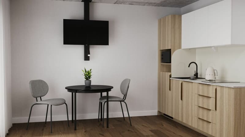 Fully furnished BASIC apartment - 25 m2 (4)