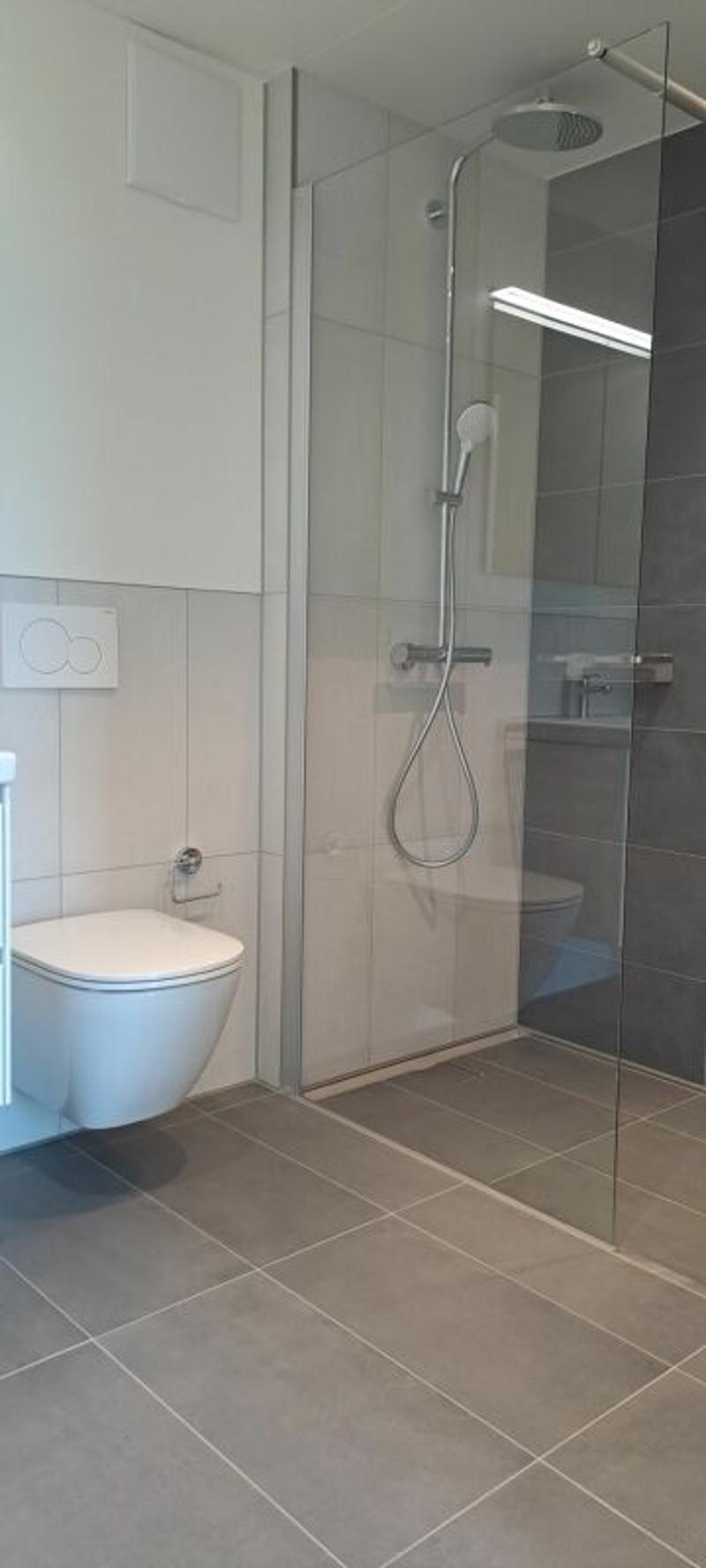 Bright 4.5 room apartment (7)