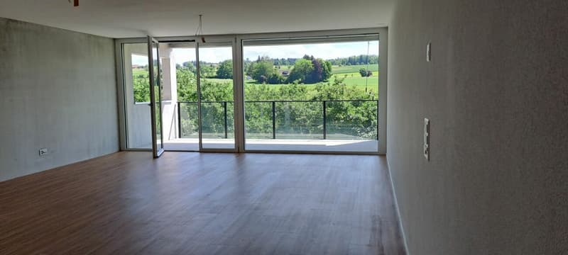 Bright 4.5 room apartment (3)