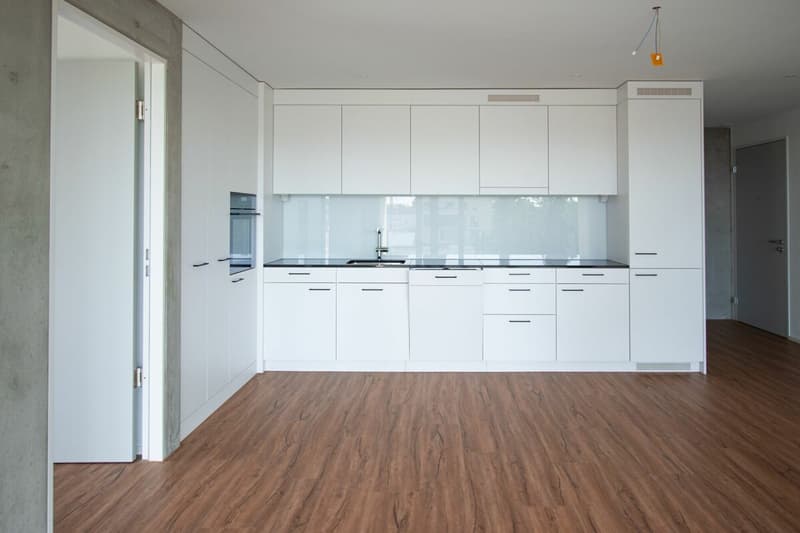 Bright 4.5 room apartment (2)
