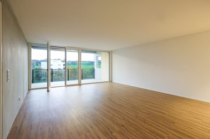 Bright 4.5 room apartment (6)