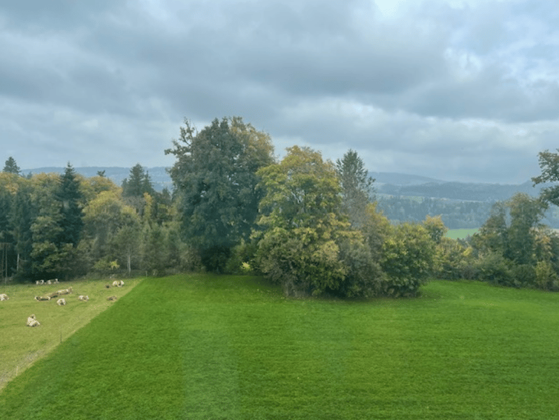 Spacious office space with a great view 773 m2 (9)