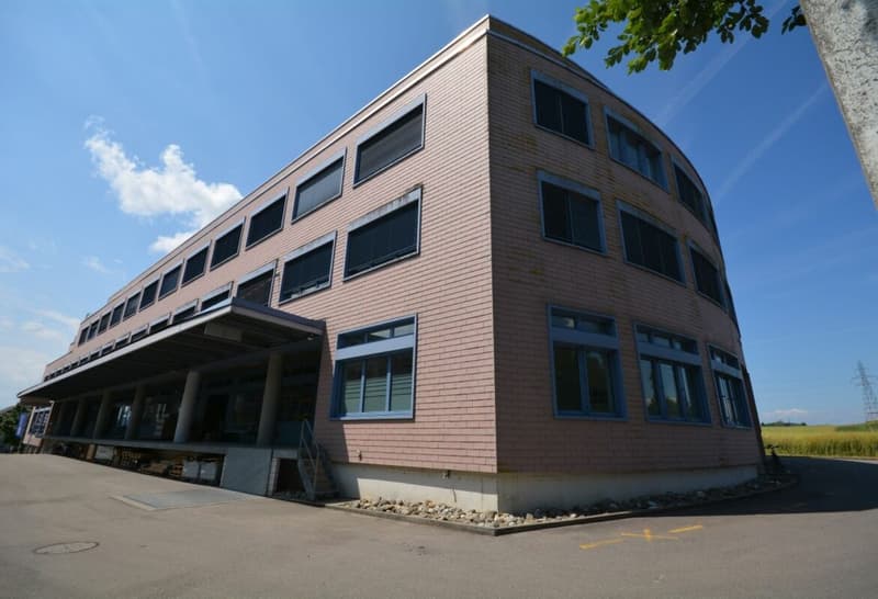 Attractive office space with a magnificent Alpine view 665 m2 (11)