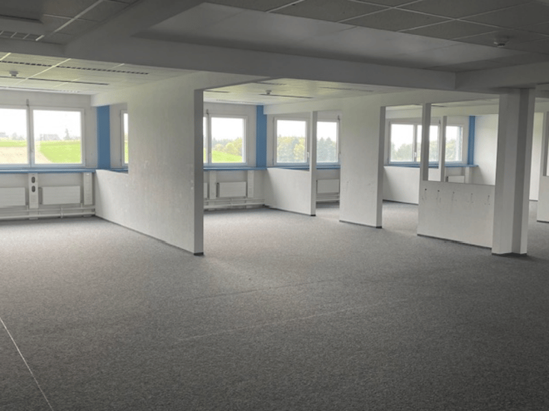 Attractive office space with a magnificent Alpine view 665 m2 (3)