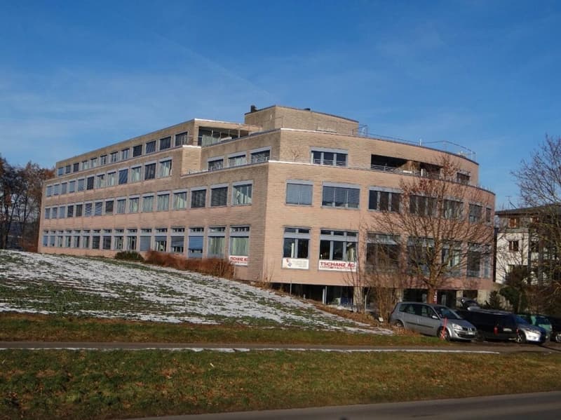 Attractive office space with a magnificent Alpine view 665 m2 (10)