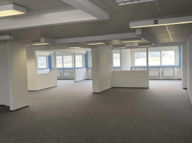 Attractive office space with a magnificent Alpine view 665 m2 (2)