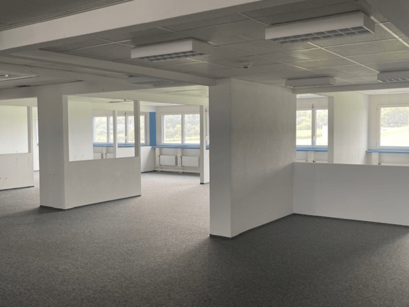 Attractive office space with a magnificent Alpine view 665 m2 (4)