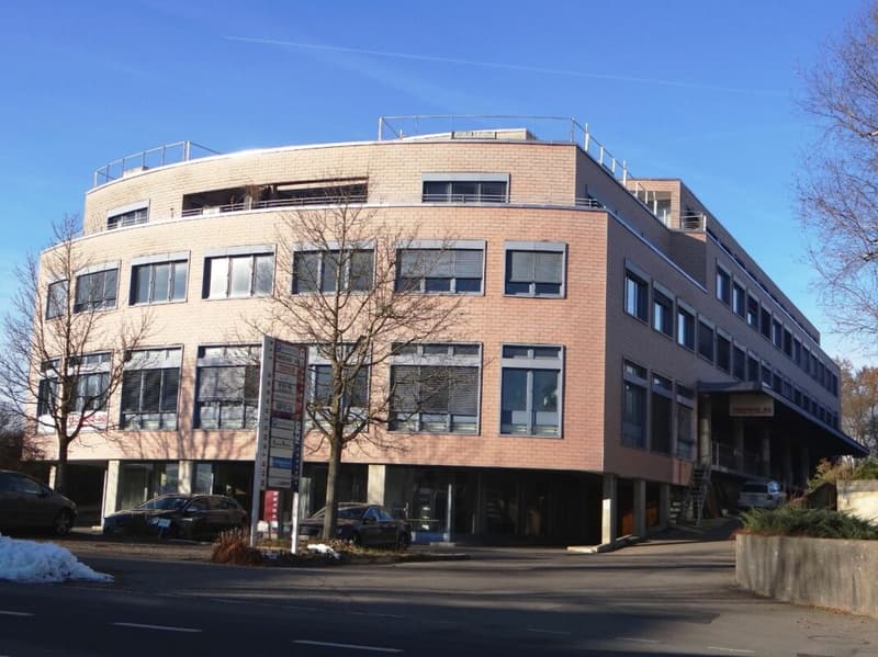 Attractive office space with a magnificent Alpine view 665 m2 (9)