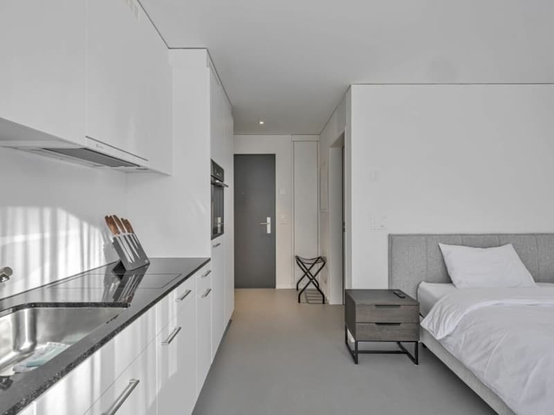 Furnished BASIC Apartment - 25 m2 (1)