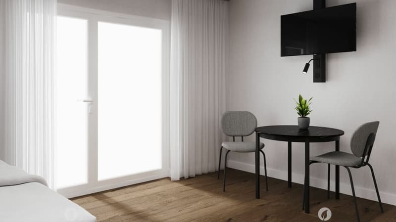 Möbliertes BASIC Apartment - 25 m2 (5)