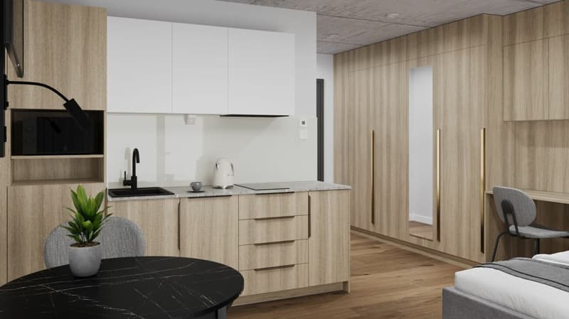 Möbliertes BASIC Apartment - 25 m2 (9)