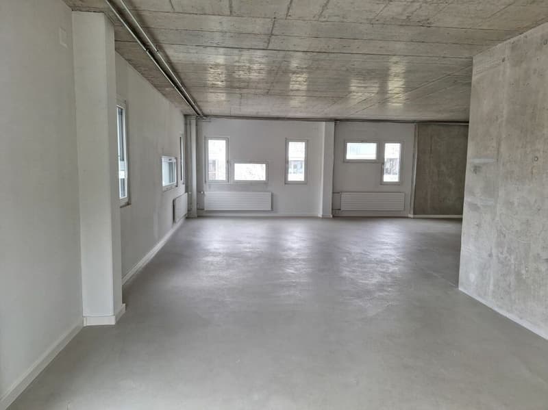 Lichtdurchflutete Gewerbefläche 126m2 (3)