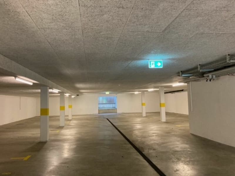 Garage parking spaces / garage share for rent (1)