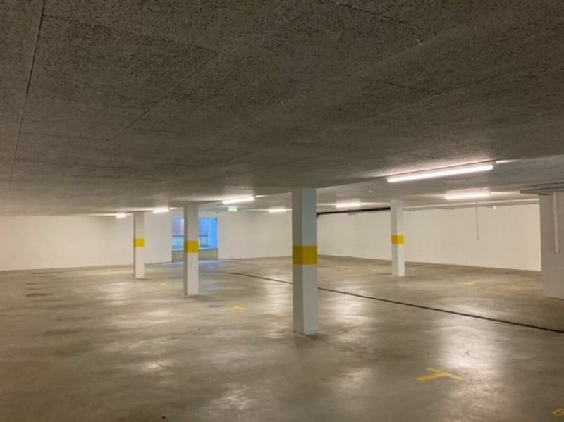 Garage parking spaces / garage share for rent (4)