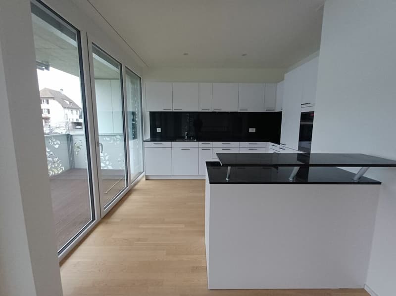 Appartamento attraente di 4,5 locali vicino al lago! (2)
