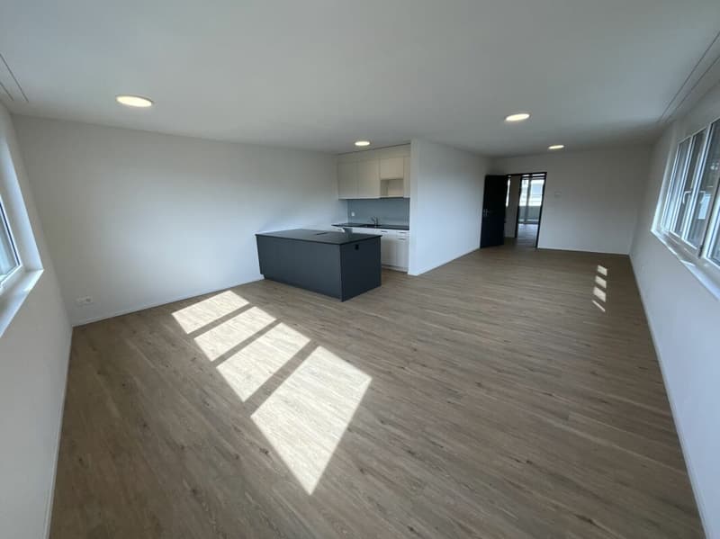 Appartamento di 2,5 locali in stile loft (1)