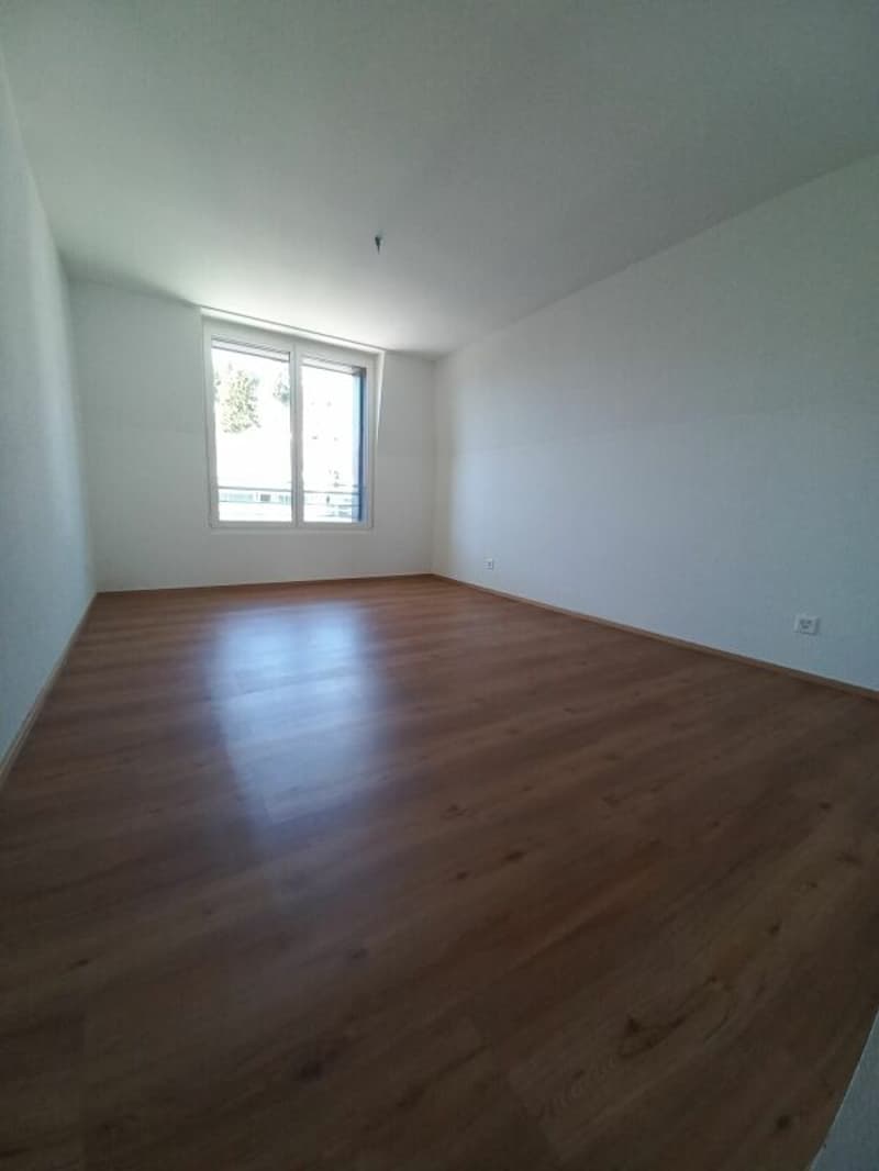 Zimmer 2