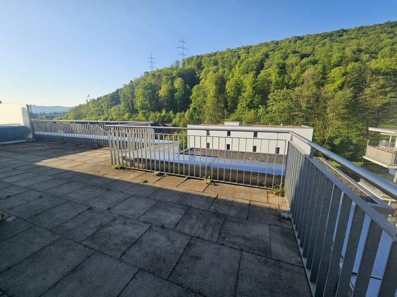 Appartamento attico attraente di 3,5 locali con grande terrazza di 41m2 (1)
