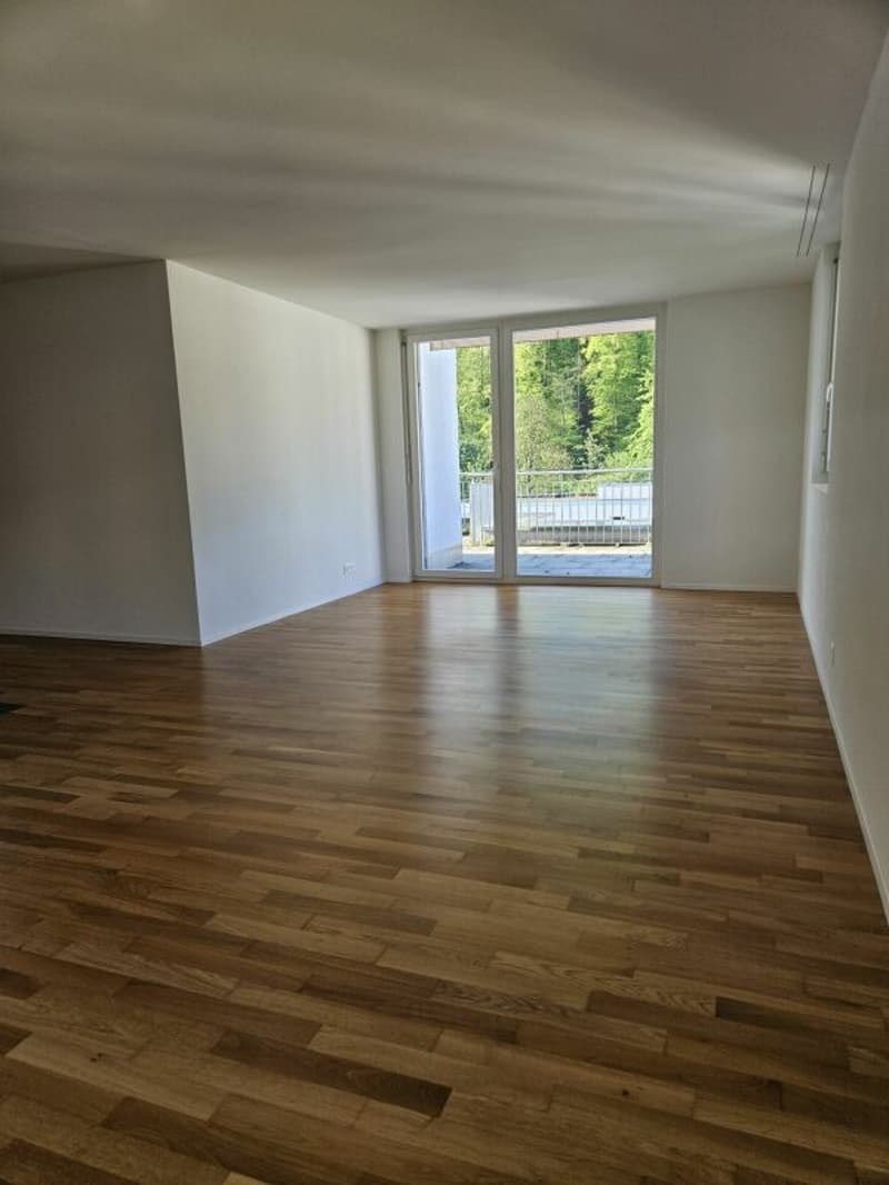 Appartamento attico attraente di 3,5 locali con grande terrazza di 41m2 (2)
