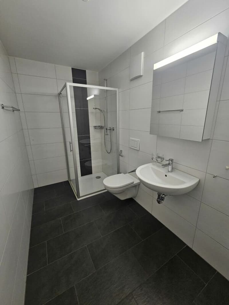 Appartamento attico attraente di 3,5 locali con grande terrazza di 41m2 (5)