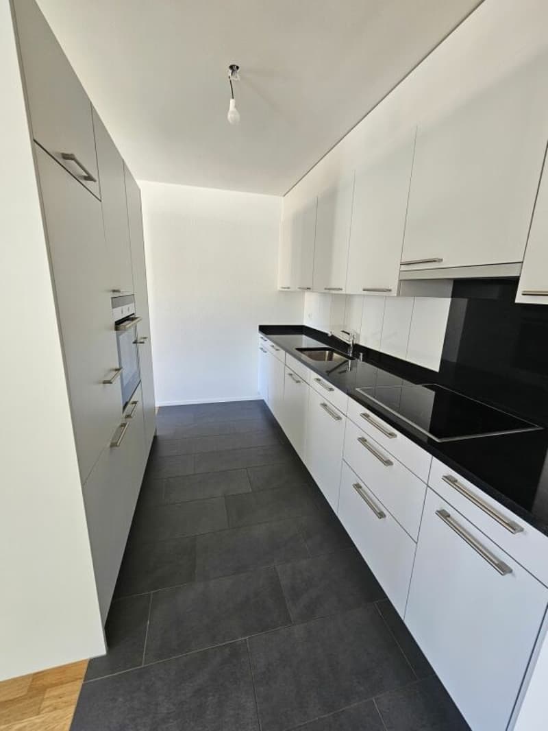 Appartamento attico attraente di 3,5 locali con grande terrazza di 41m2 (7)