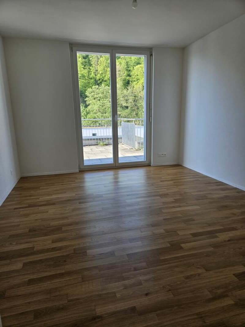 Appartamento attico attraente di 3,5 locali con grande terrazza di 41m2 (8)