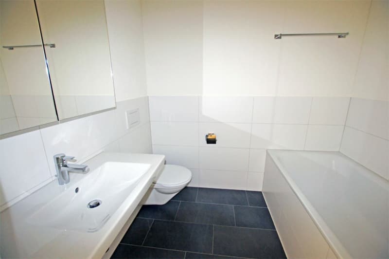 Bright 4.5 room apartment (6)