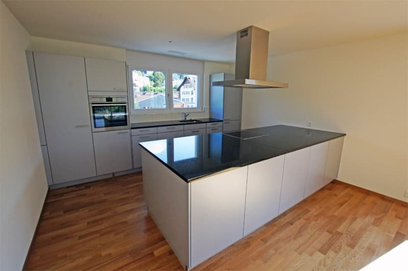 Bright 4.5 room apartment (1)
