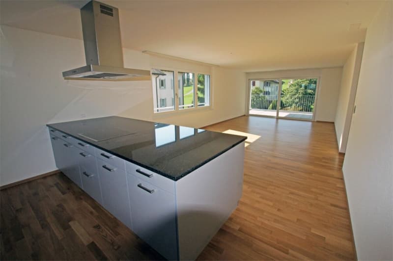 Bright 4.5 room apartment (2)