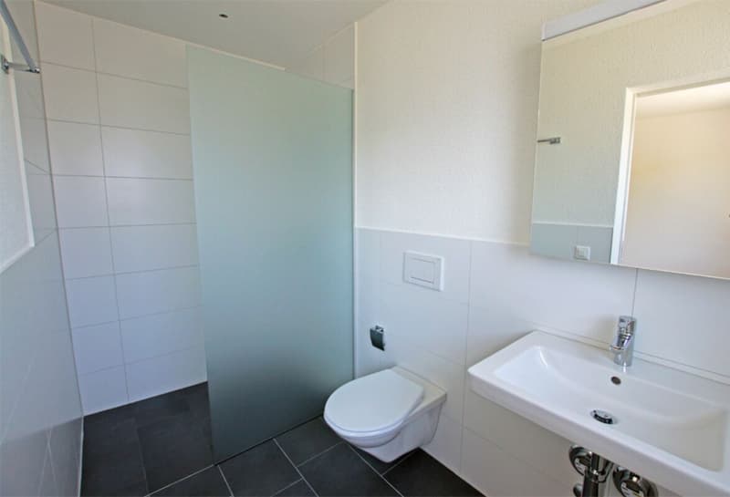 Bright 4.5 room apartment (5)