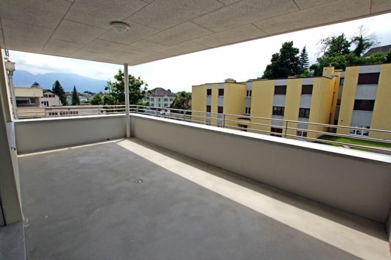 Appartamento luminoso 3.5 locali con ampio balcone (10)