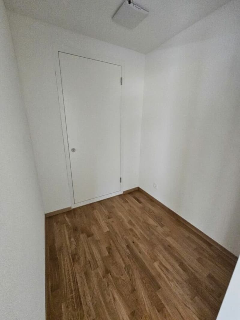 Appartamento luminoso 3.5 locali con ampio balcone (11)