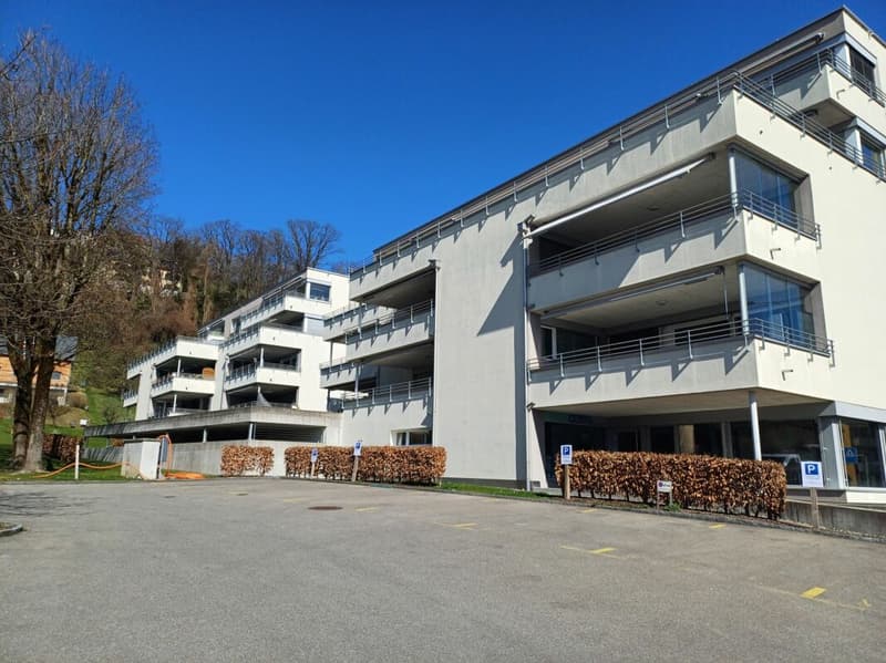 Appartamento luminoso 3.5 locali con ampio balcone (1)